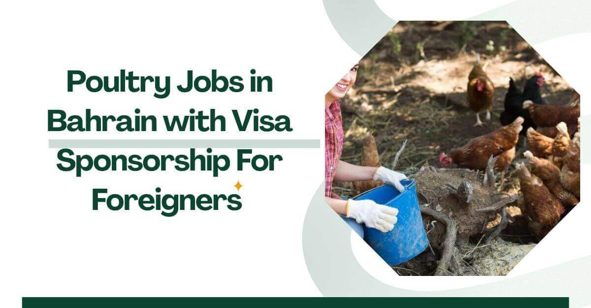 Poultry Jobs in Bahrain with Visa Sponsorship For Foreigners