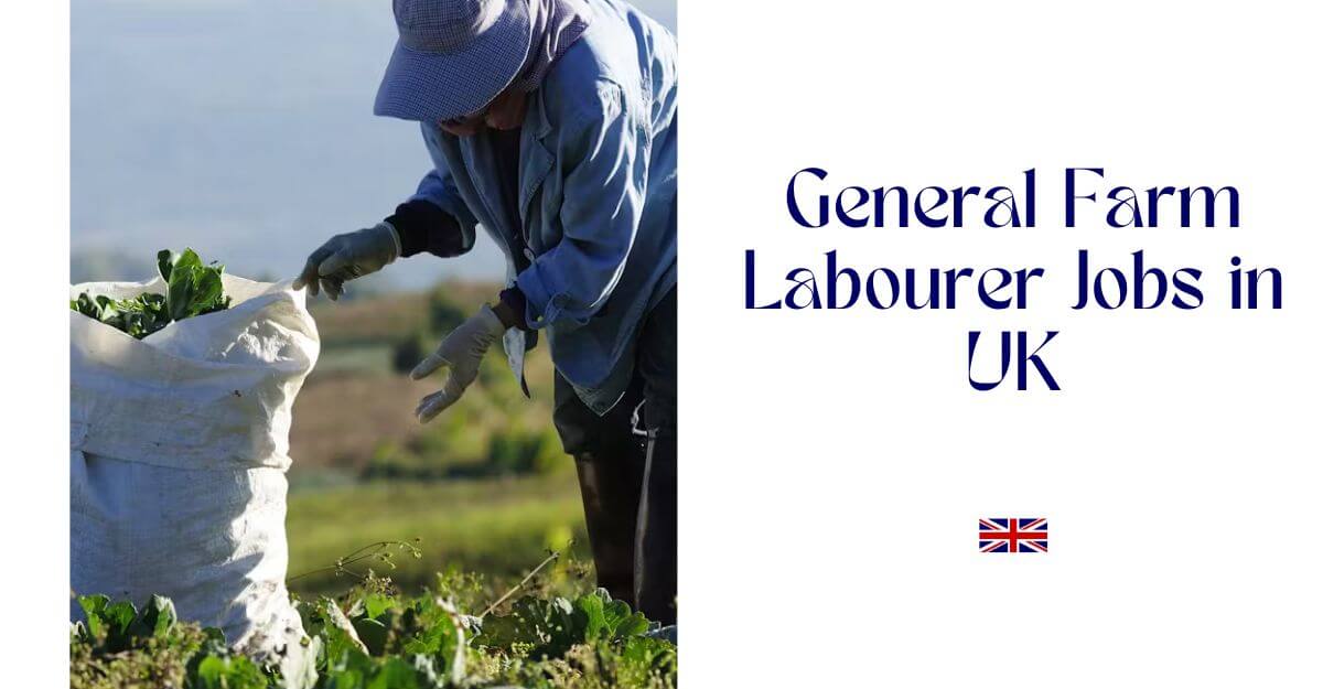 General Farm Labourer Jobs in UK