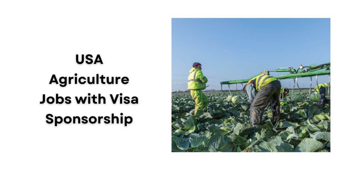 USA Agriculture Jobs with Visa Sponsorship